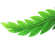 section bg leaf right